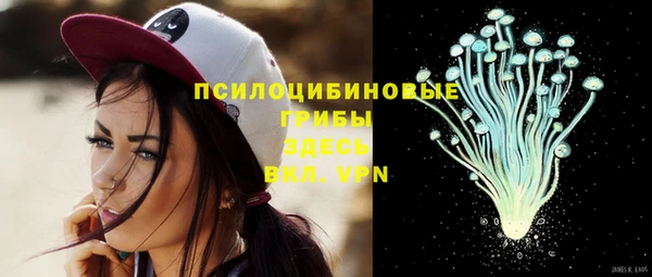 спиды Медвежьегорск