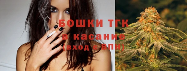 дмт Медногорск