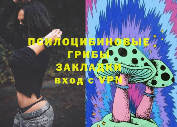 спиды Медвежьегорск