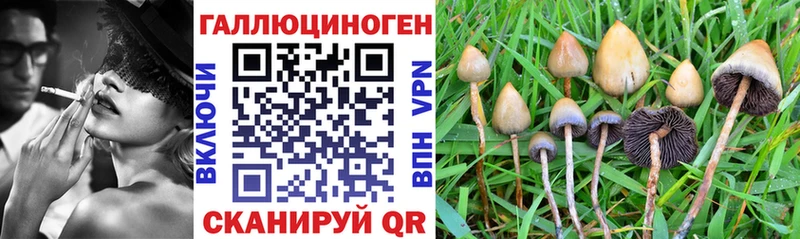 Псилоцибиновые грибы мухоморы  магазин  наркотиков  Ржев 