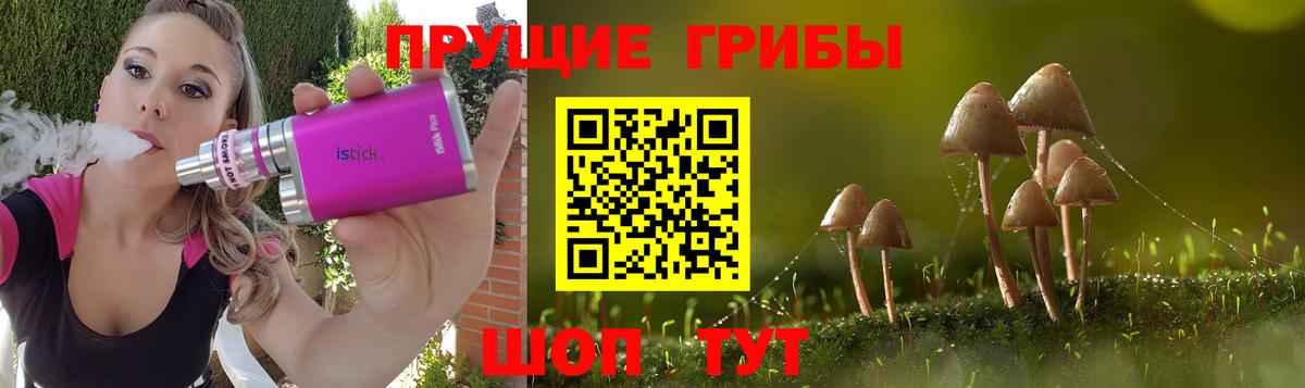 Галлюциногенные грибы Psilocybe Ржев